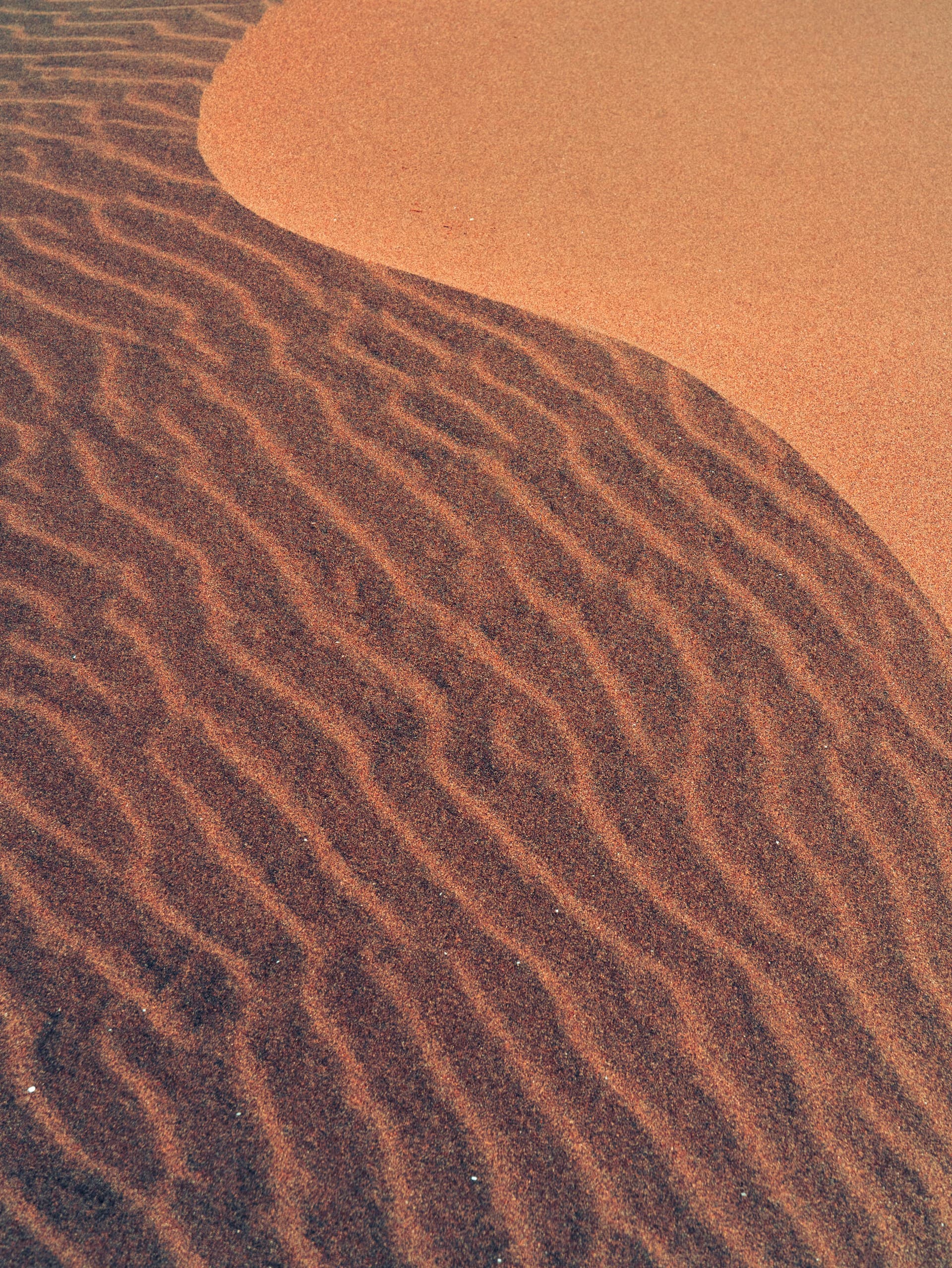 Zen garden representing our holistic approach